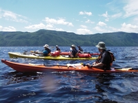 kayak de mer fjord saguenay